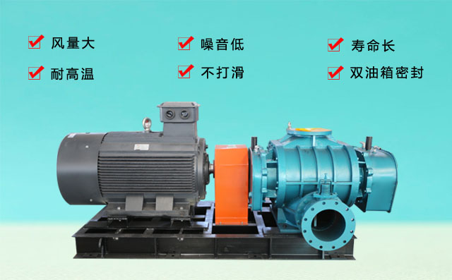 羅茨風(fēng)機(jī) 羅茨風(fēng)機(jī)