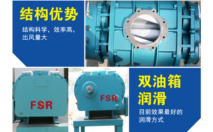 高壓羅茨風(fēng)機(jī) 高壓羅茨風(fēng)機(jī)