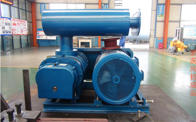 組裝完成的羅茨風(fēng)機(jī) 組裝完成的羅茨風(fēng)機(jī)