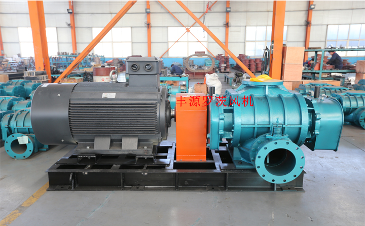 豐源羅茨風(fēng)機(jī) 豐源羅茨風(fēng)機(jī)