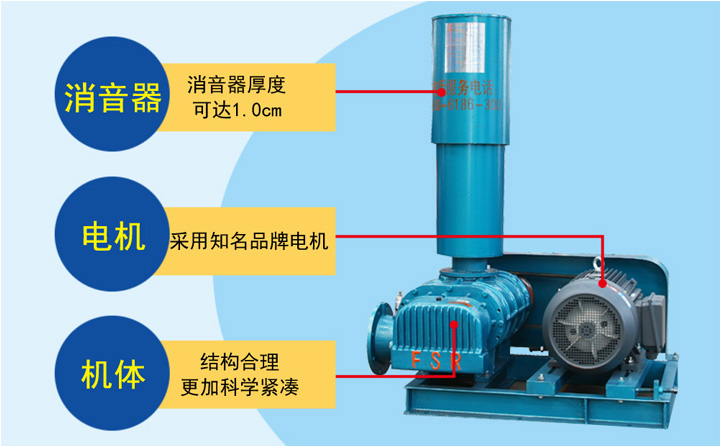 豐源羅茨鼓風(fēng)機(jī) 豐源羅茨鼓風(fēng)機(jī)