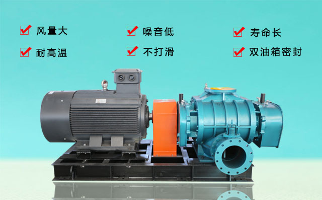 羅茨鼓風(fēng)機(jī) 羅茨鼓風(fēng)機(jī)