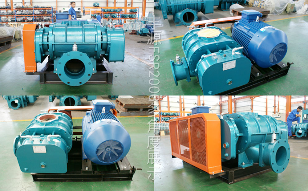 羅茨鼓風(fēng)機(jī) 羅茨鼓風(fēng)機(jī)