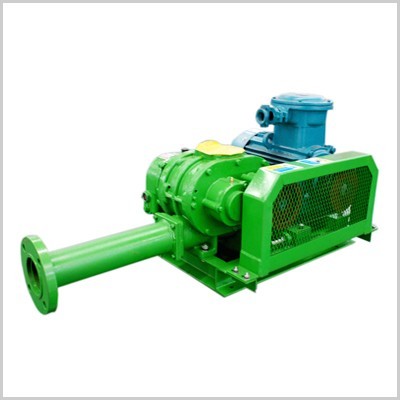 沼氣風(fēng)機(jī)選型 沼氣風(fēng)機(jī)選型