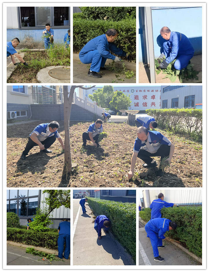 在公司領(lǐng)導(dǎo)的帶領(lǐng)下，各部門積極投入廠區(qū)內(nèi)外公共區(qū)域的清潔工作中，大家熱情高漲，分工合作