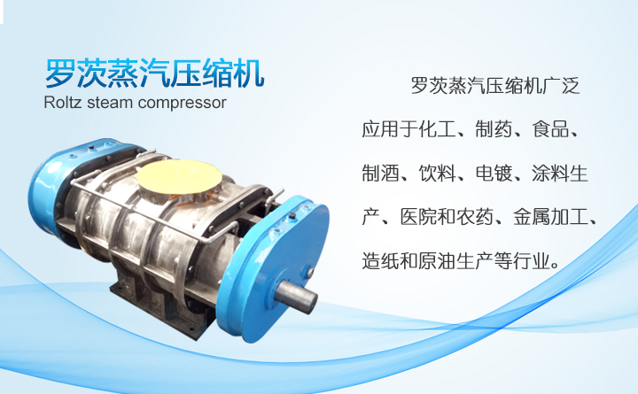 羅茨式蒸汽風機 羅茨式蒸汽風機